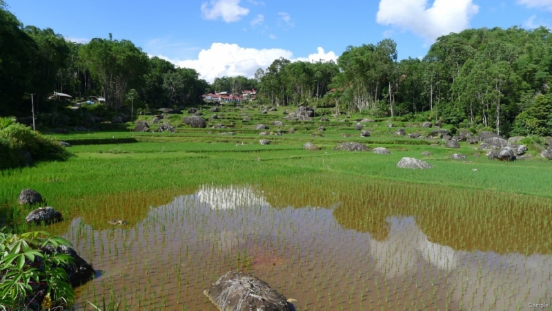 Такая разная Индонезия (Март 2017 года)