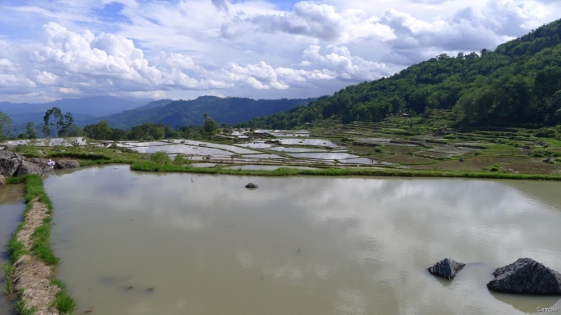 Такая разная Индонезия (Март 2017 года)