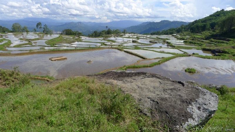 Такая разная Индонезия (Март 2017 года)