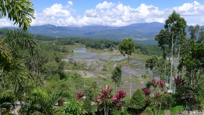 Такая разная Индонезия (Март 2017 года)