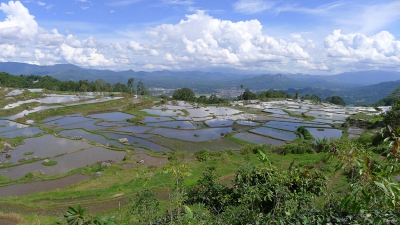 Такая разная Индонезия (Март 2017 года)