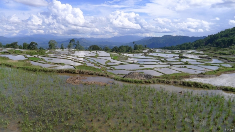 Такая разная Индонезия (Март 2017 года)