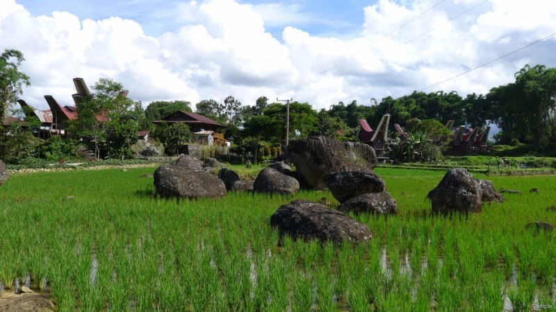 Такая разная Индонезия (Март 2017 года)