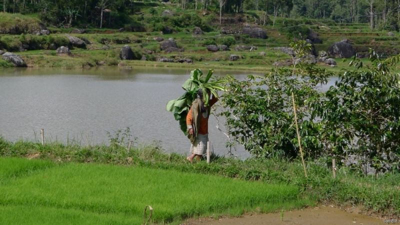 Такая разная Индонезия (Март 2017 года)