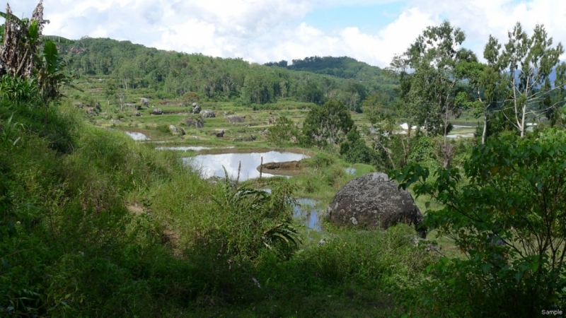 Такая разная Индонезия (Март 2017 года)