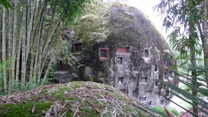 Такая разная Индонезия (Март 2017 года)