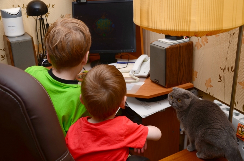 Кошки в нашей жизни. Кошки и все, что с ними связано.