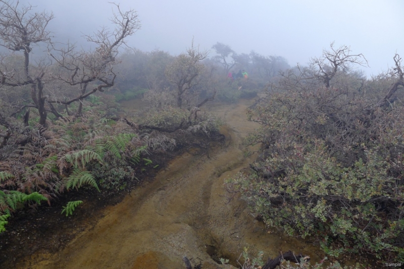 Такая разная Индонезия (Март 2017 года)