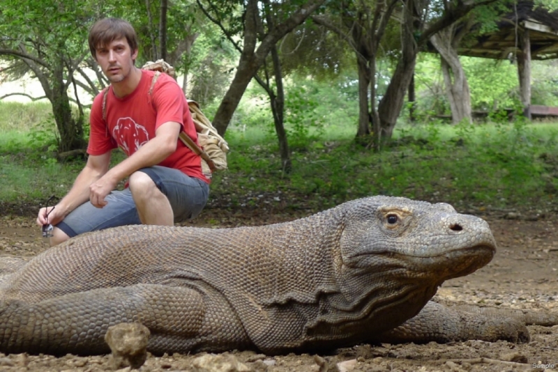 Такая разная Индонезия (Март 2017 года)