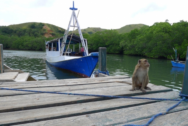 Такая разная Индонезия (Март 2017 года)