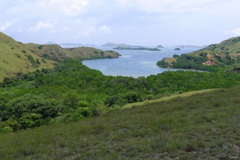 Такая разная Индонезия (Март 2017 года)