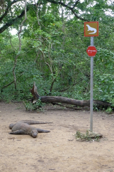 Такая разная Индонезия (Март 2017 года)