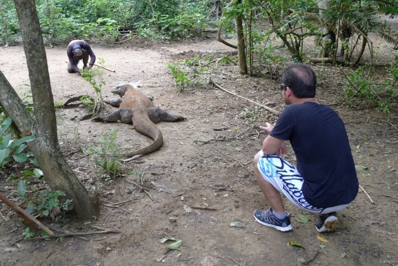 Такая разная Индонезия (Март 2017 года)