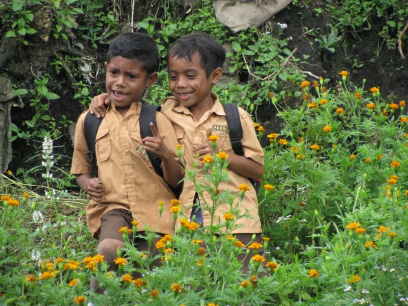 Такая разная Индонезия (Март 2017 года)