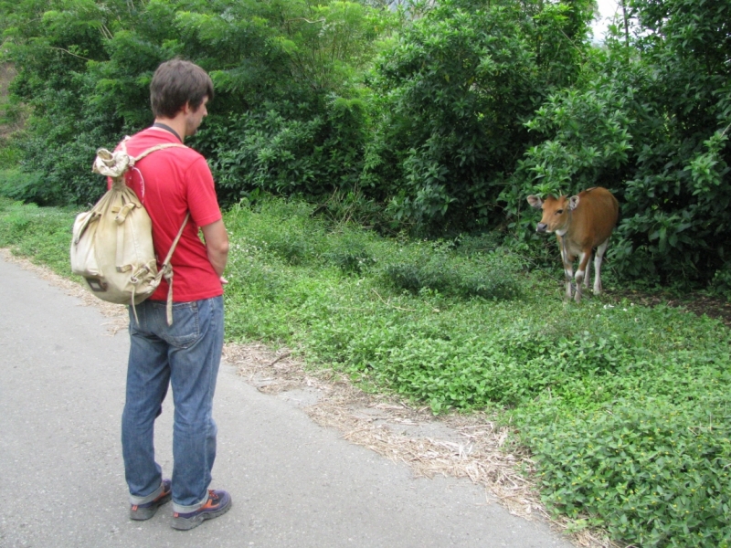 Такая разная Индонезия (Март 2017 года)