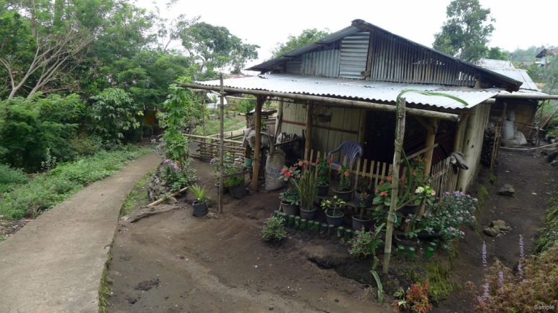 Такая разная Индонезия (Март 2017 года)