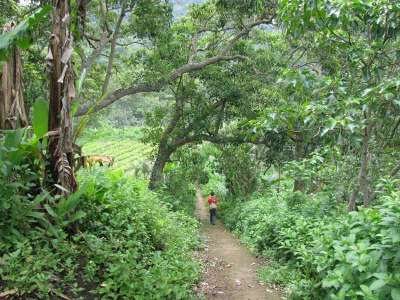 Такая разная Индонезия (Март 2017 года)