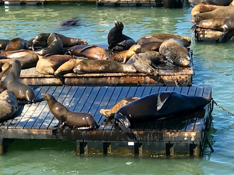 Большие города . Запад и Восток США