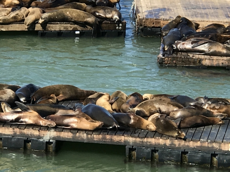 Большие города . Запад и Восток США