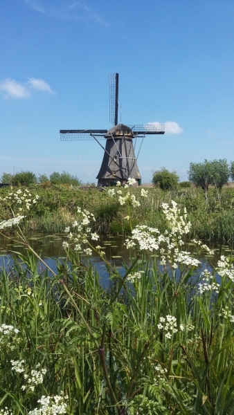 Быстро по Голландии  в мае семнадцатого (впервые)