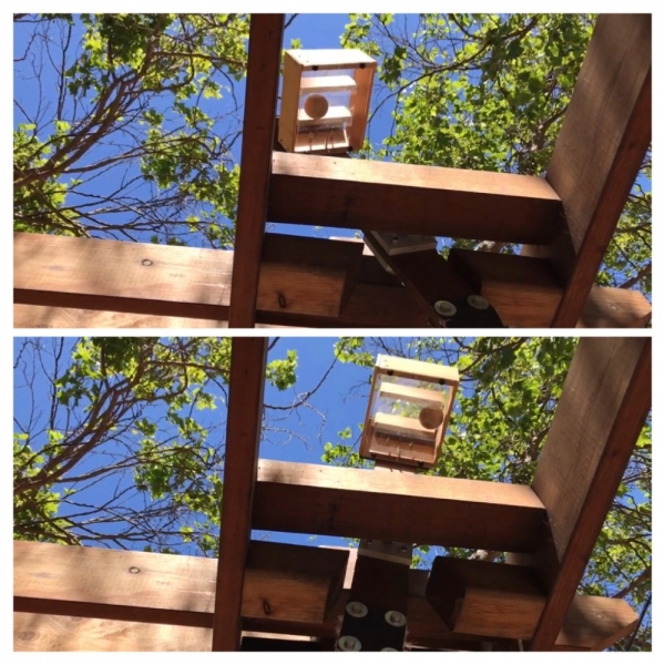 Большие города . Запад и Восток США