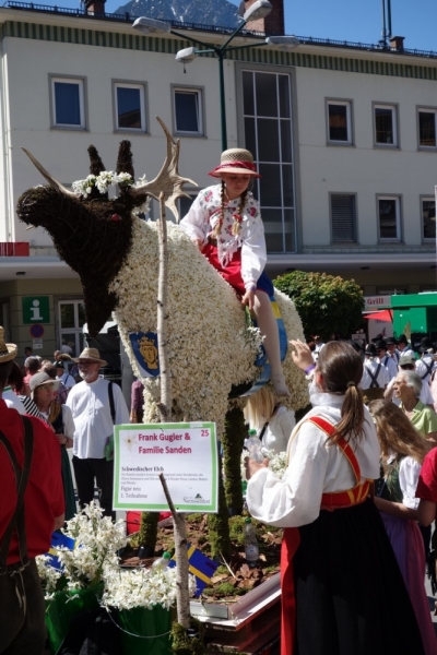 Narzissenfest 2017, Bad Aussee