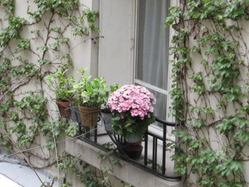 Париж, Париж, Париж или сбывшиеся мечты мамы и дочи