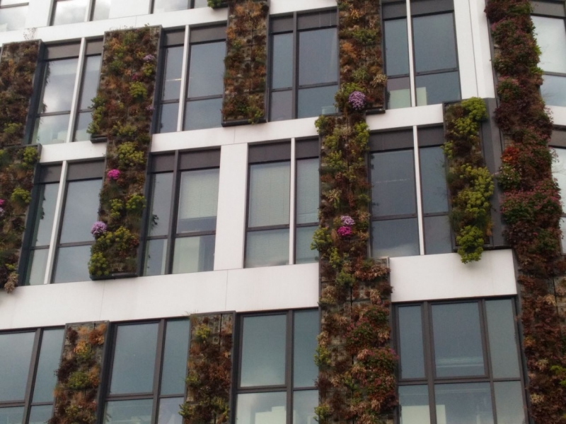 Париж, Париж, Париж или сбывшиеся мечты мамы и дочи