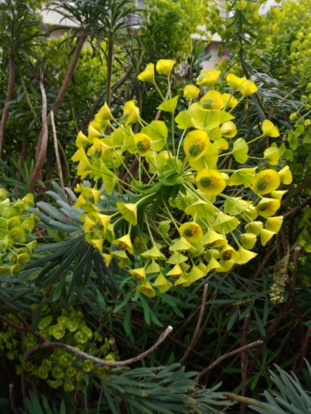 Париж, Париж, Париж или сбывшиеся мечты мамы и дочи