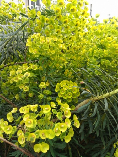 Париж, Париж, Париж или сбывшиеся мечты мамы и дочи