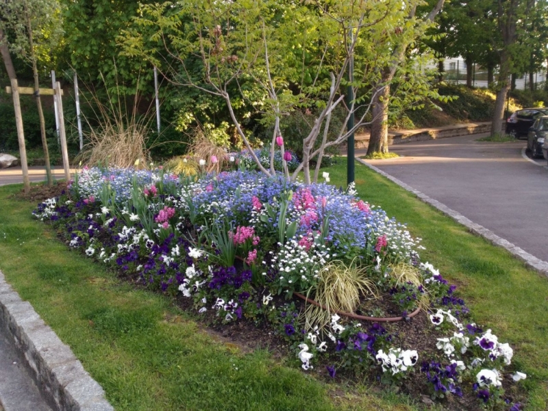 Париж, Париж, Париж или сбывшиеся мечты мамы и дочи