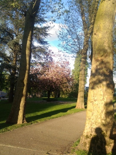 Париж, Париж, Париж или сбывшиеся мечты мамы и дочи