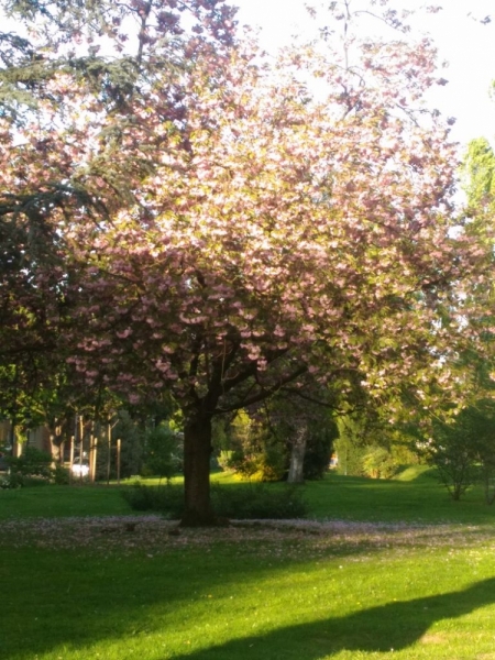 Париж, Париж, Париж или сбывшиеся мечты мамы и дочи