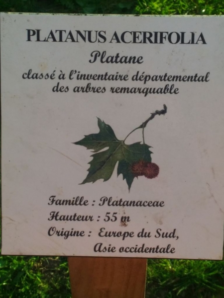 Париж, Париж, Париж или сбывшиеся мечты мамы и дочи