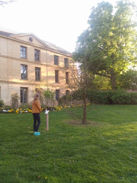 Париж, Париж, Париж или сбывшиеся мечты мамы и дочи