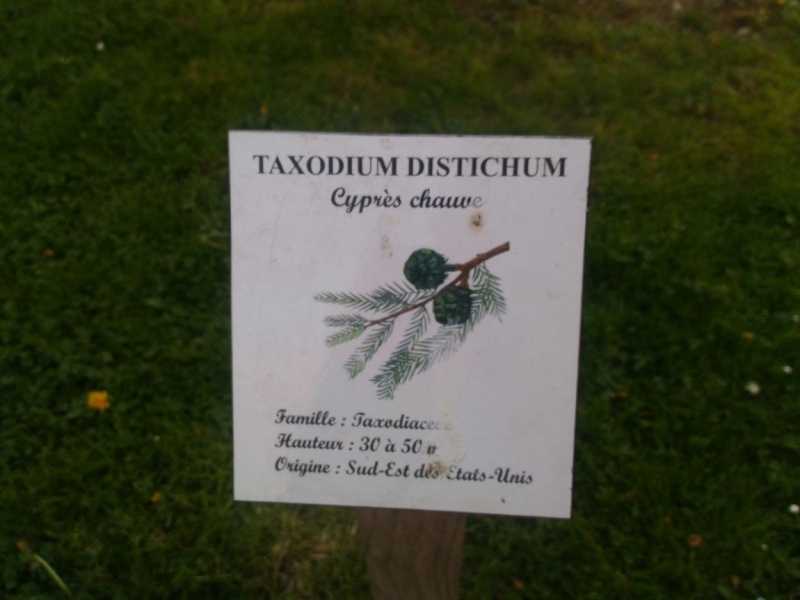 Париж, Париж, Париж или сбывшиеся мечты мамы и дочи