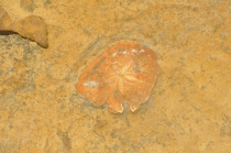 Нац.парк Йелиу