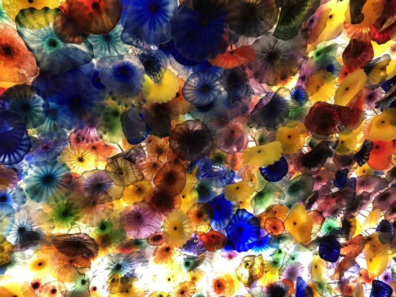 Большие города . Запад и Восток США