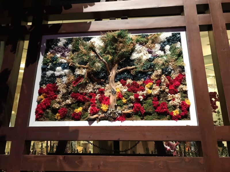 Большие города . Запад и Восток США