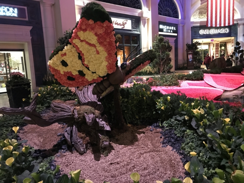 Большие города . Запад и Восток США