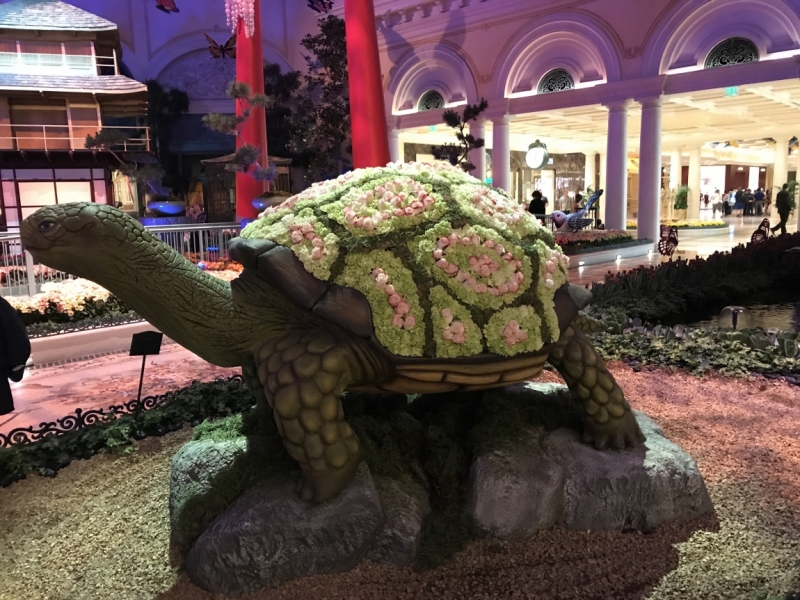 Большие города . Запад и Восток США