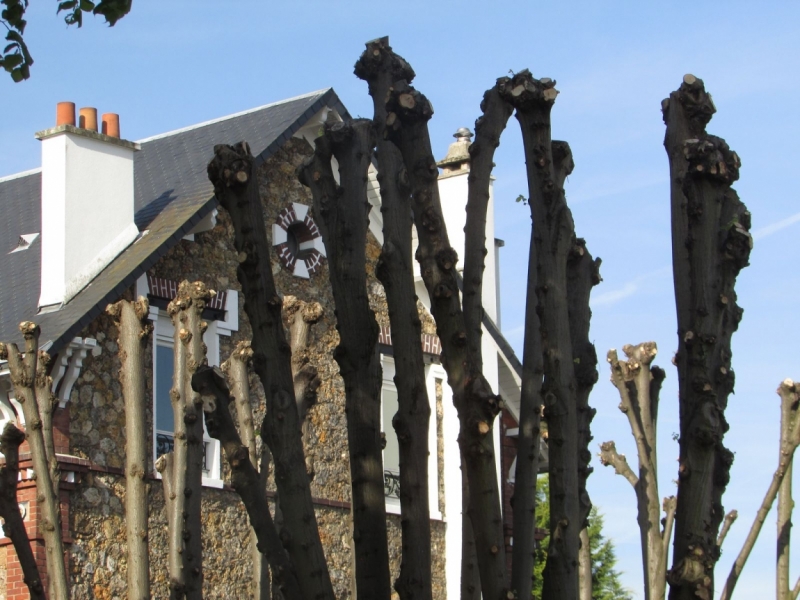 Париж, Париж, Париж или сбывшиеся мечты мамы и дочи