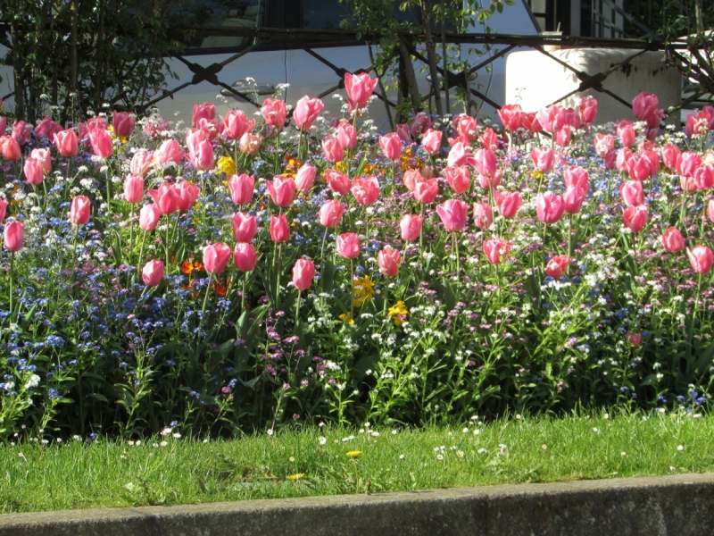 Париж, Париж, Париж или сбывшиеся мечты мамы и дочи