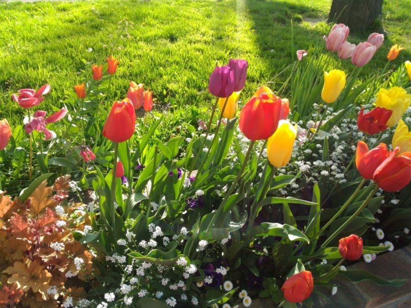 Париж, Париж, Париж или сбывшиеся мечты мамы и дочи