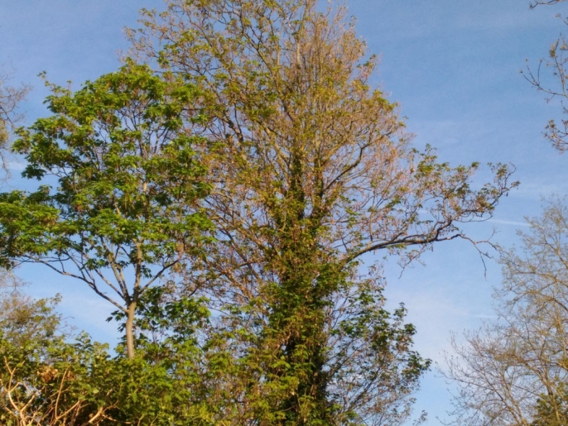 Париж, Париж, Париж или сбывшиеся мечты мамы и дочи