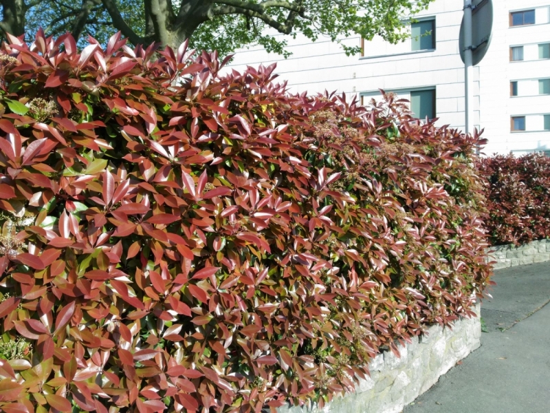 Париж, Париж, Париж или сбывшиеся мечты мамы и дочи