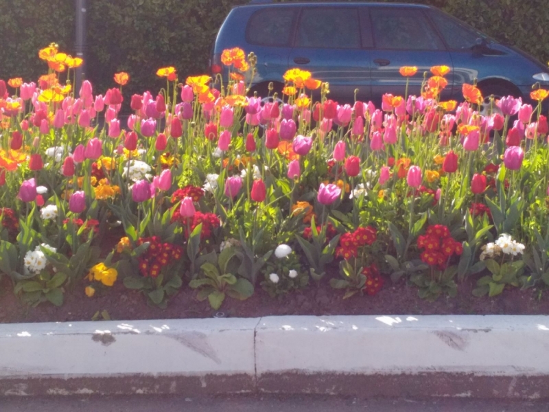 Париж, Париж, Париж или сбывшиеся мечты мамы и дочи