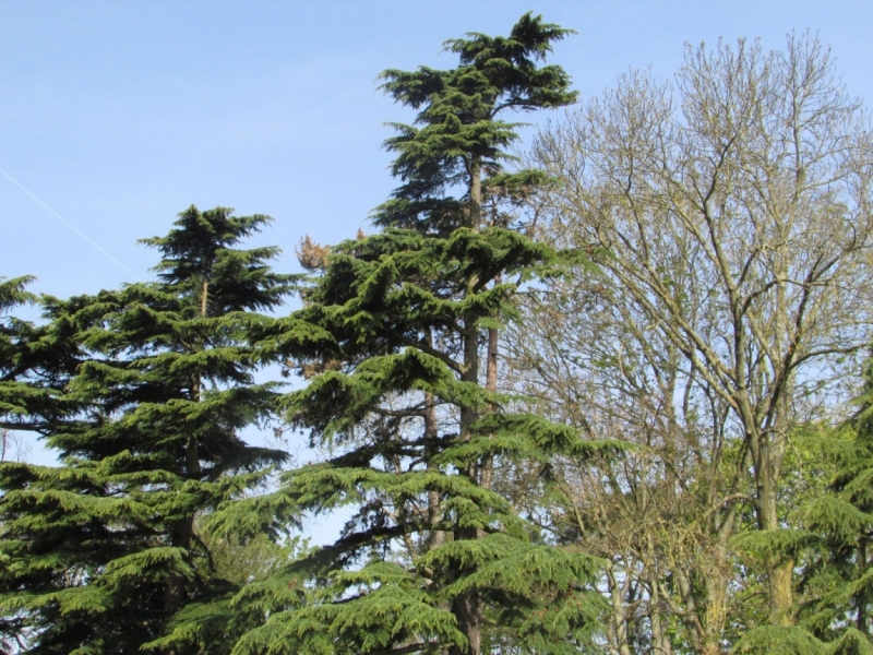 Париж, Париж, Париж или сбывшиеся мечты мамы и дочи