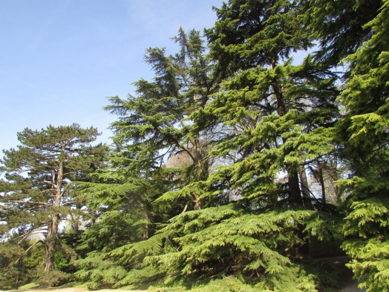 Париж, Париж, Париж или сбывшиеся мечты мамы и дочи