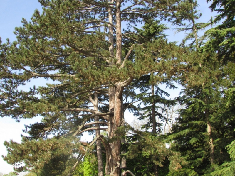 Париж, Париж, Париж или сбывшиеся мечты мамы и дочи